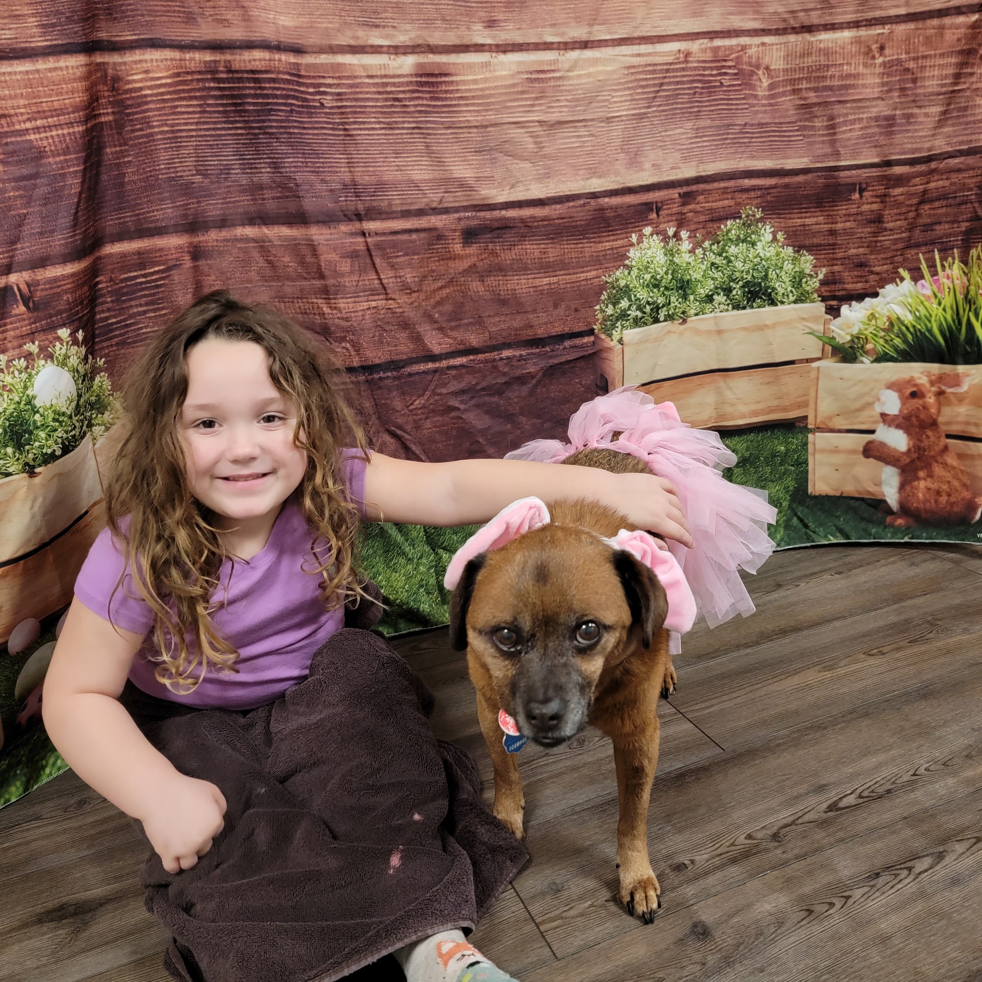 Austinburg Veterinary Clinic Austinburg