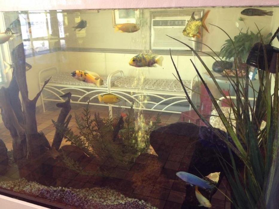 Avon Animal Hospital Avon