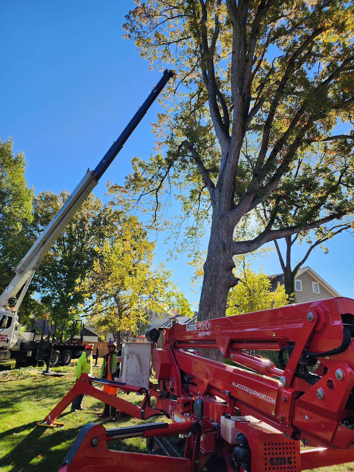 Mike's Tree Services Inc