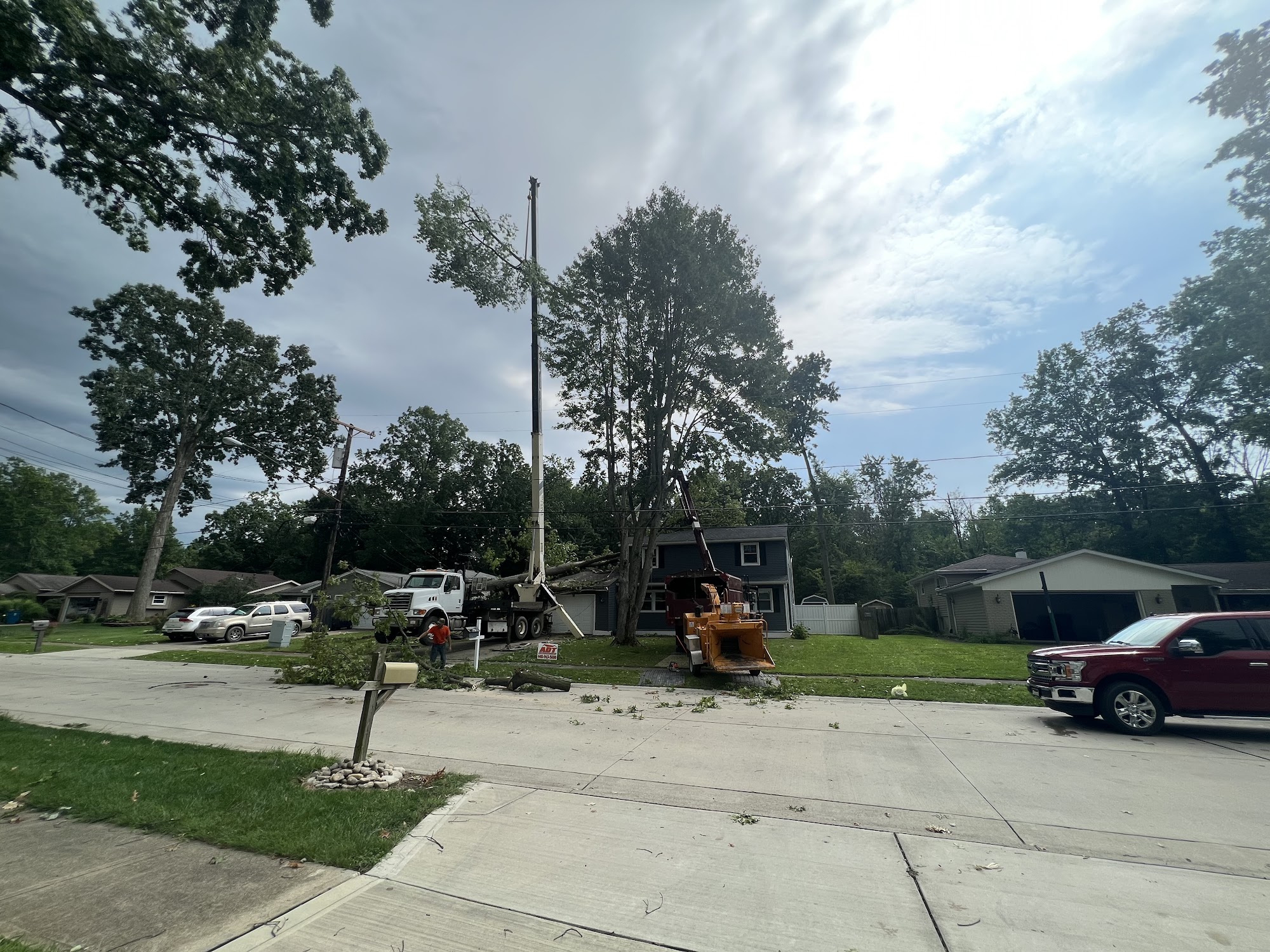 Mike's Tree Services Inc