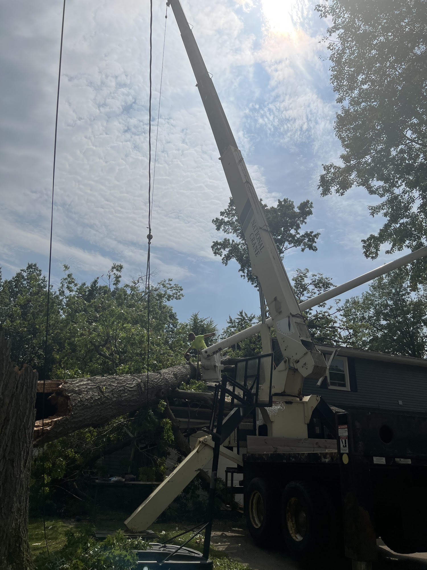 Mike's Tree Services Inc