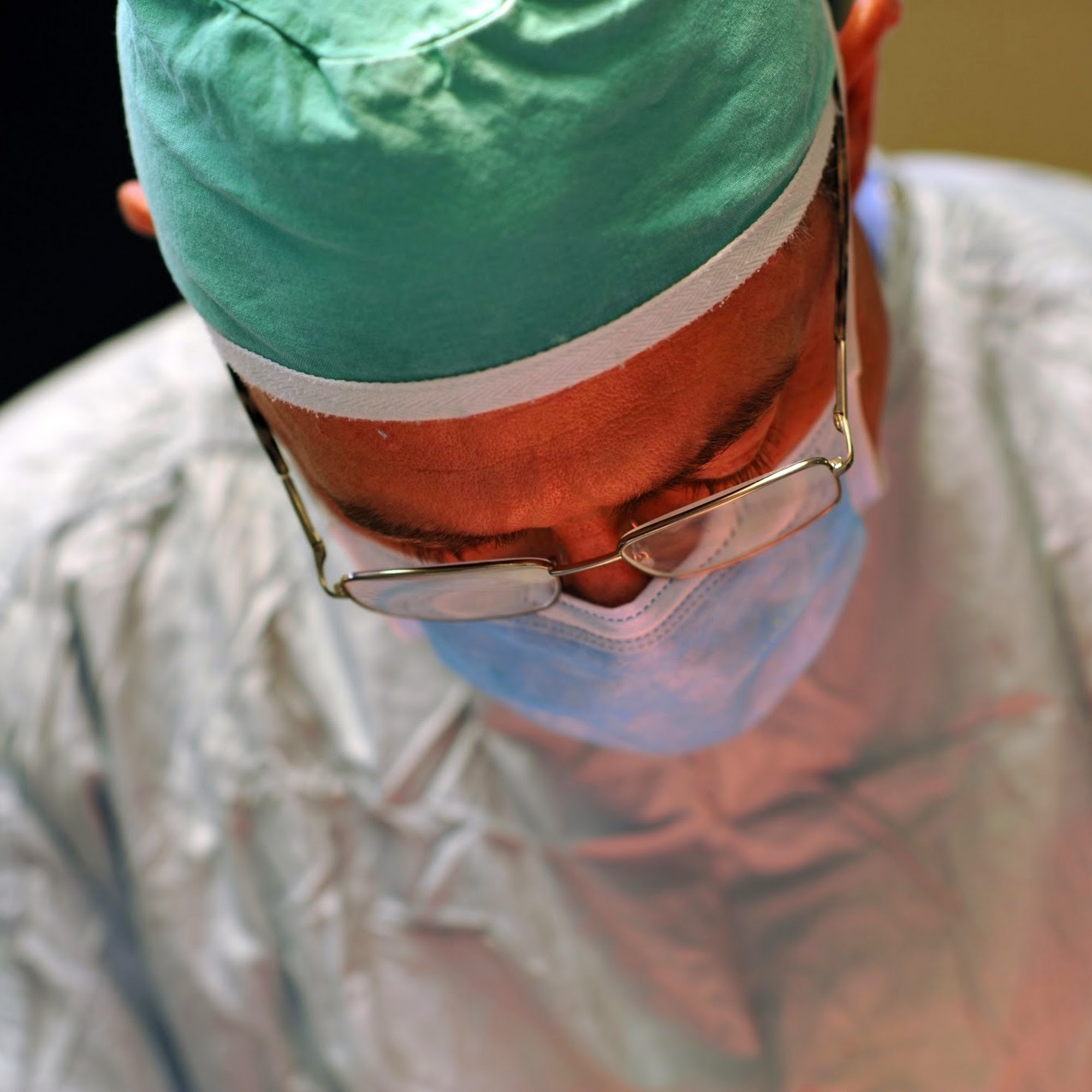 Hillside Small Animal Hospital Batavia