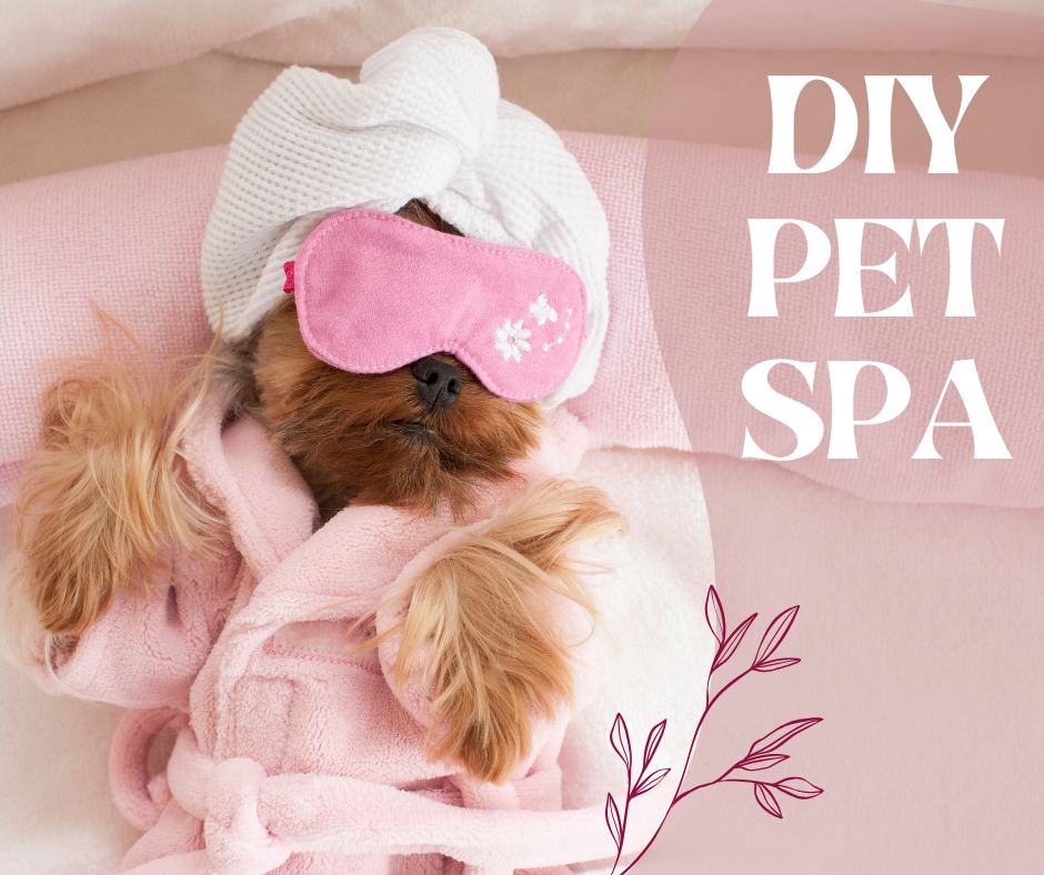 Clermont Animal Hospital Inc. Batavia