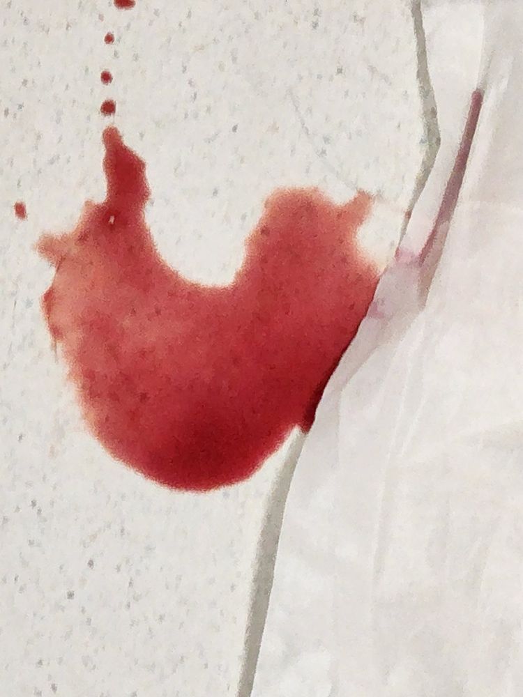 Dr. Julia Stricker Esposito, D.V.M Batavia