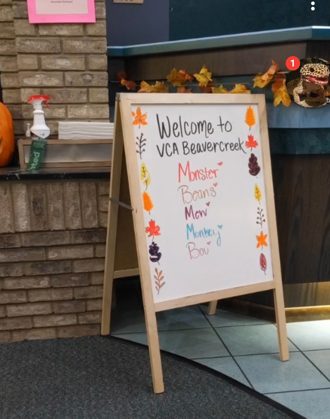 VCA Beavercreek Animal Hospital Beavercreek