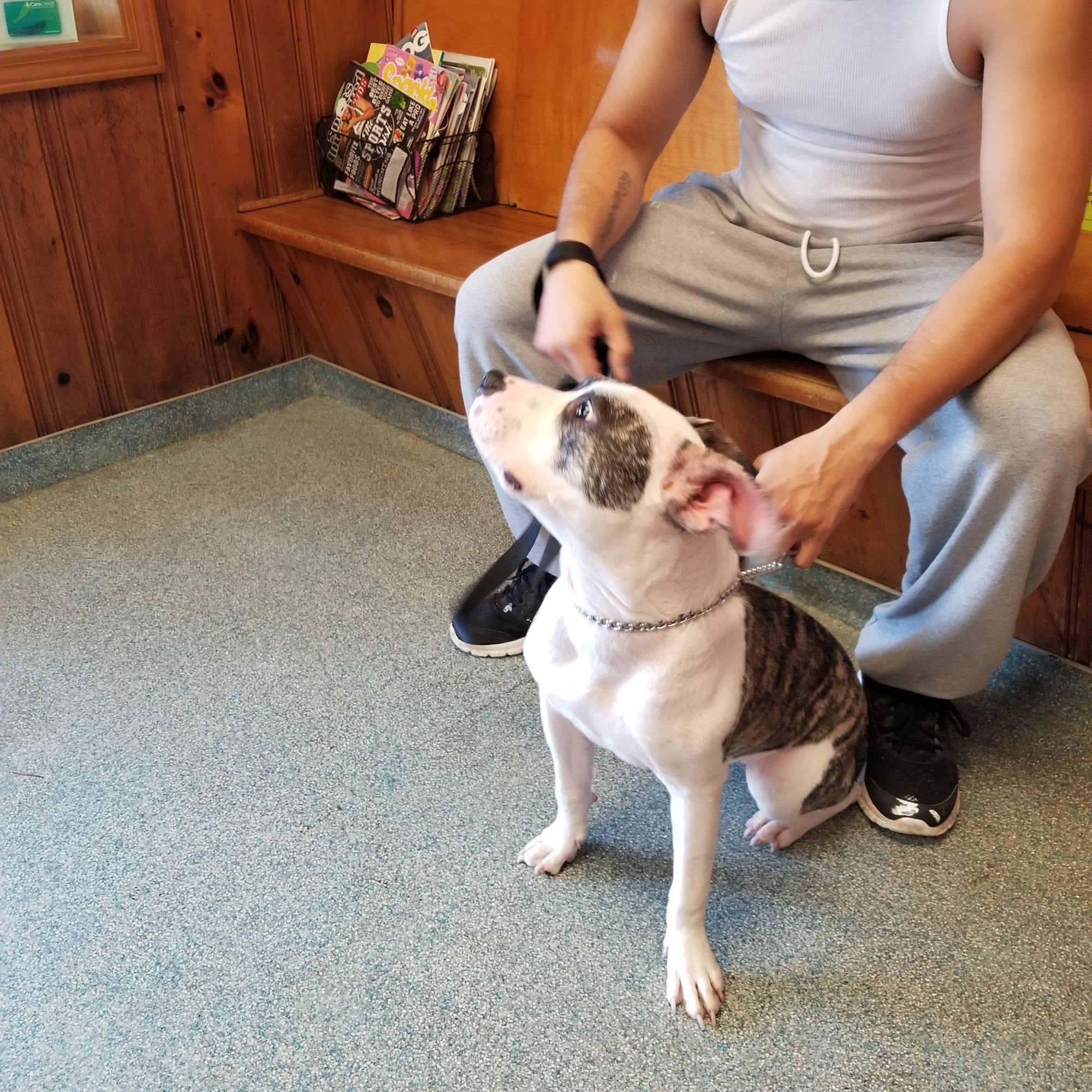 Sandstone Animal Hospital Berea