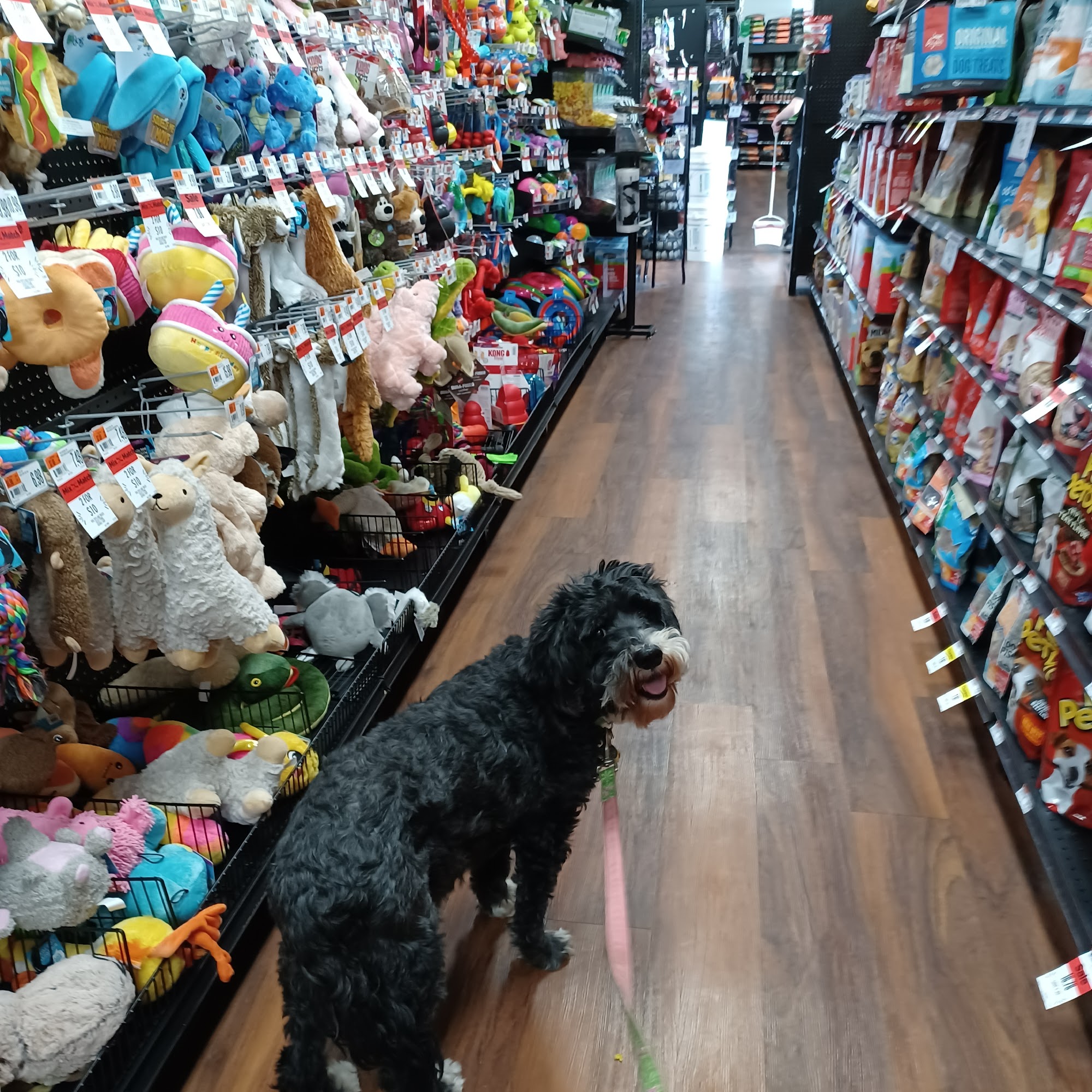 Pet Supplies Plus Berea Berea