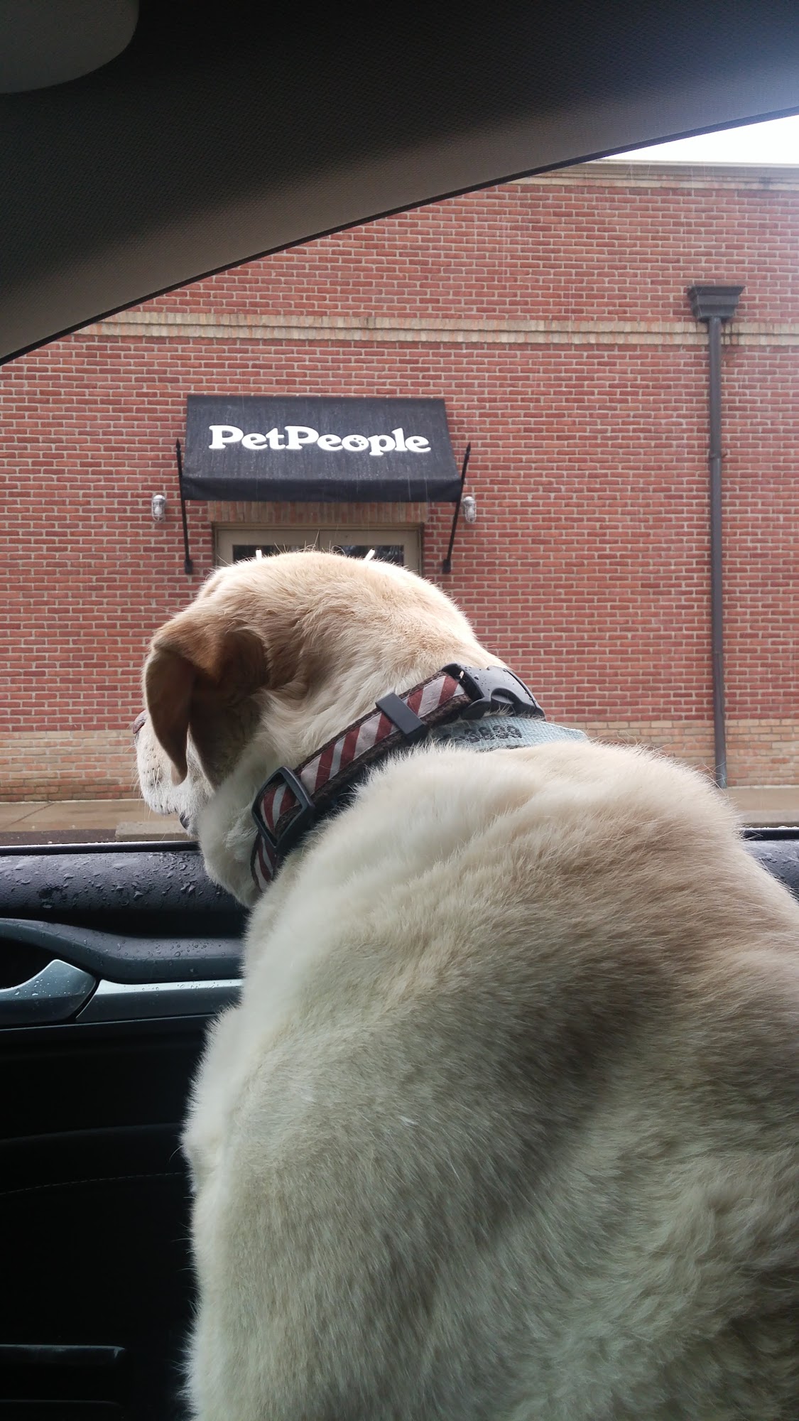 Hollywood Feed Bexley