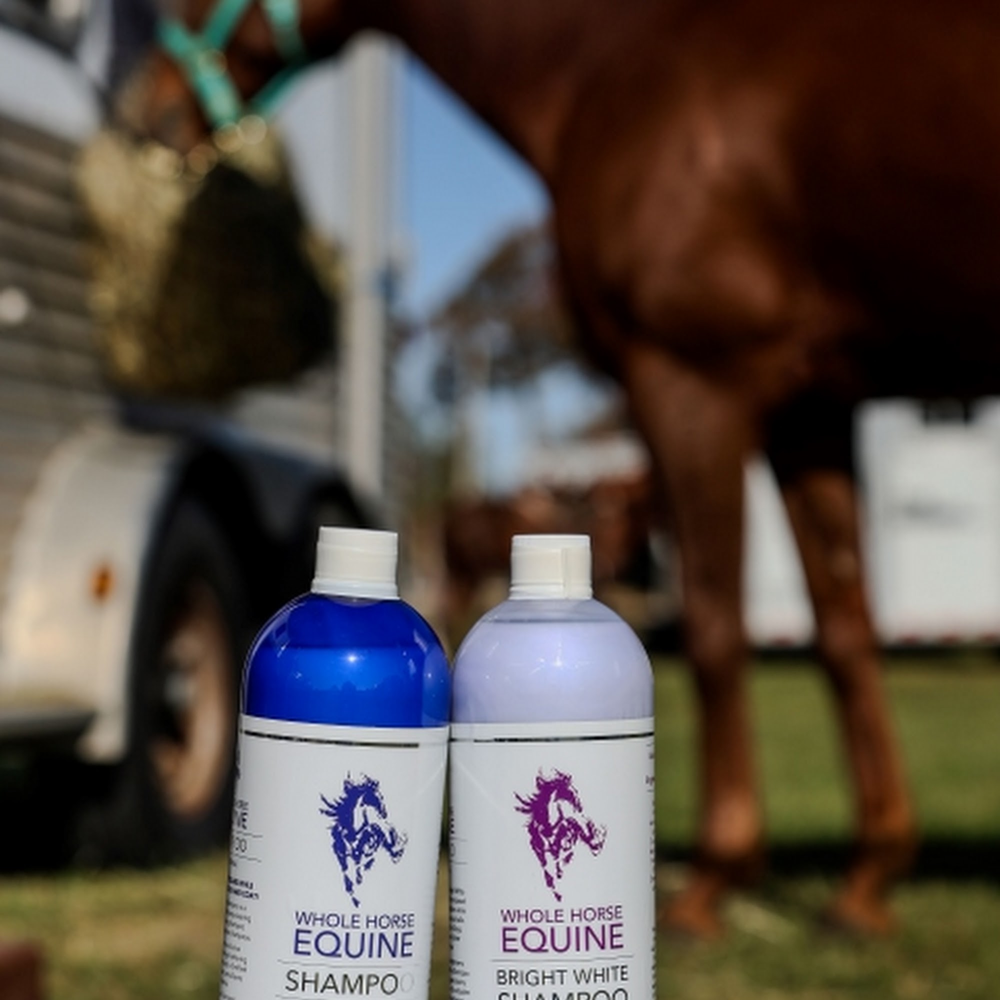 Whole Horse Equine Blue Ash