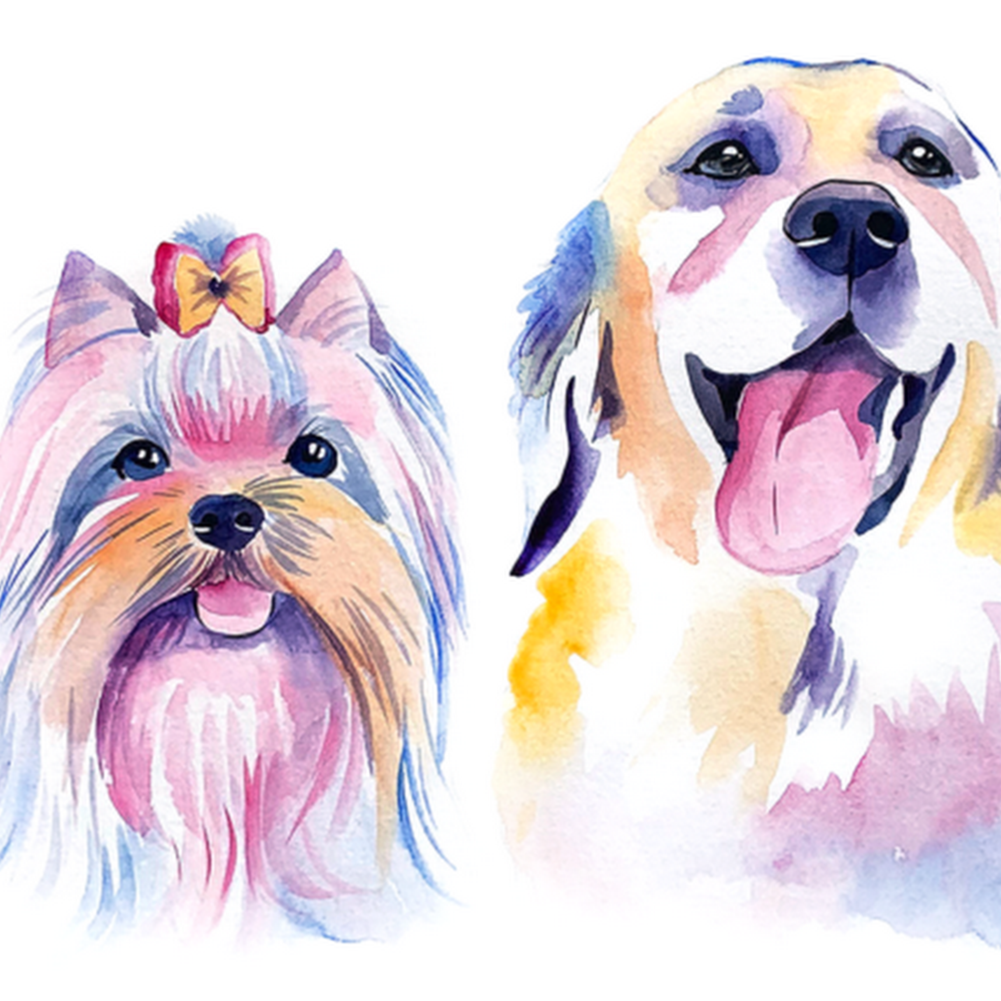 The Paw Spa of Boardman Boardman