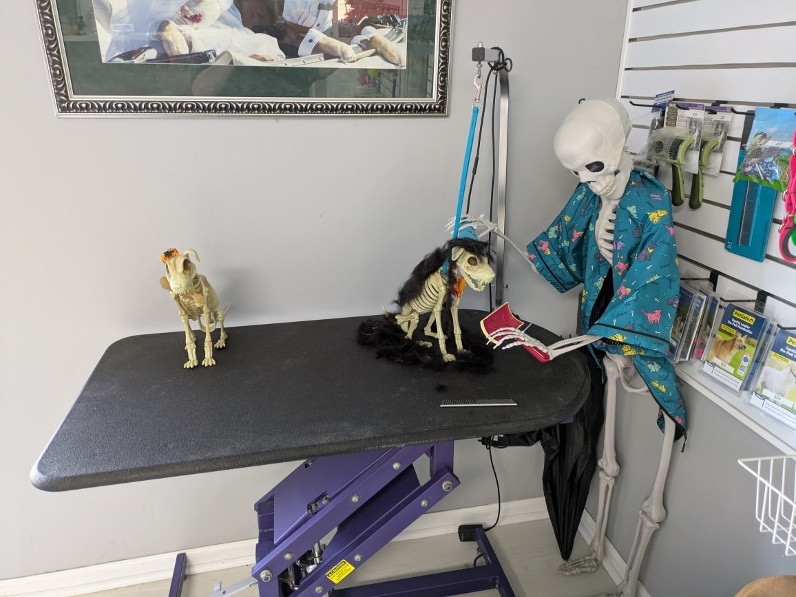 Gold Star Pet Resort Inc Bowling Green