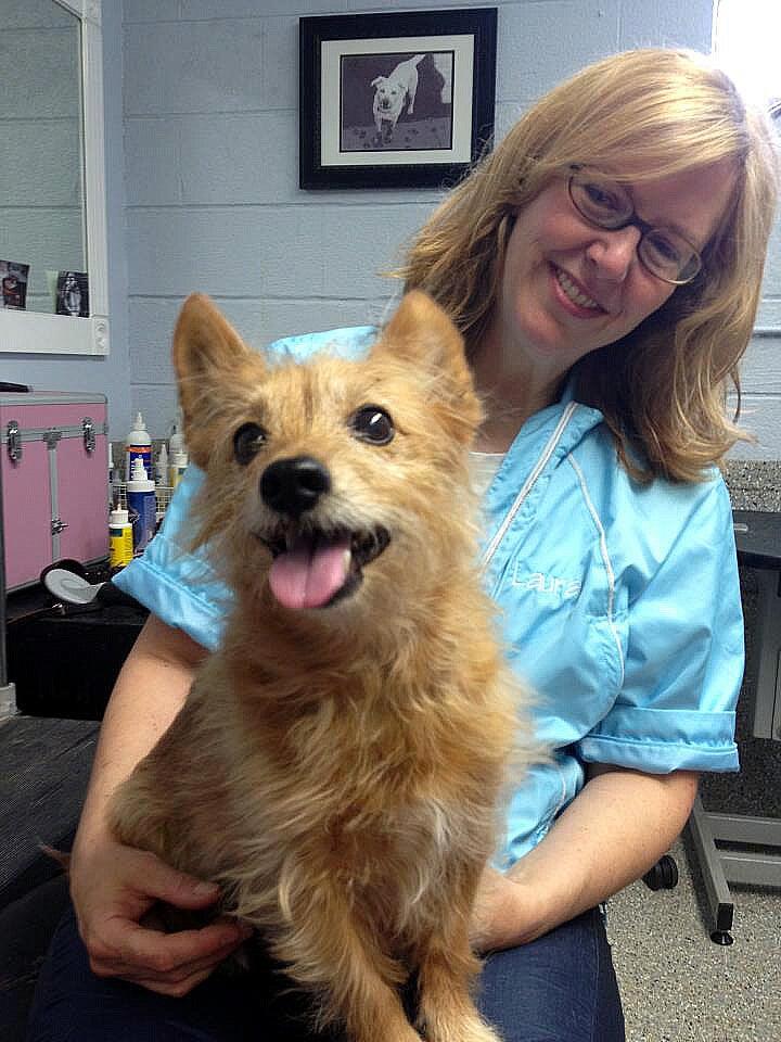 Bartels Pet Hospital Brecksville