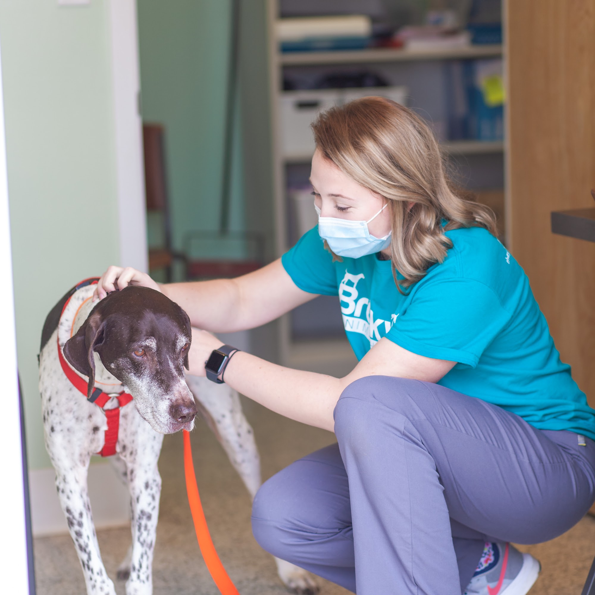 Brookville Animal Hospital Brookville