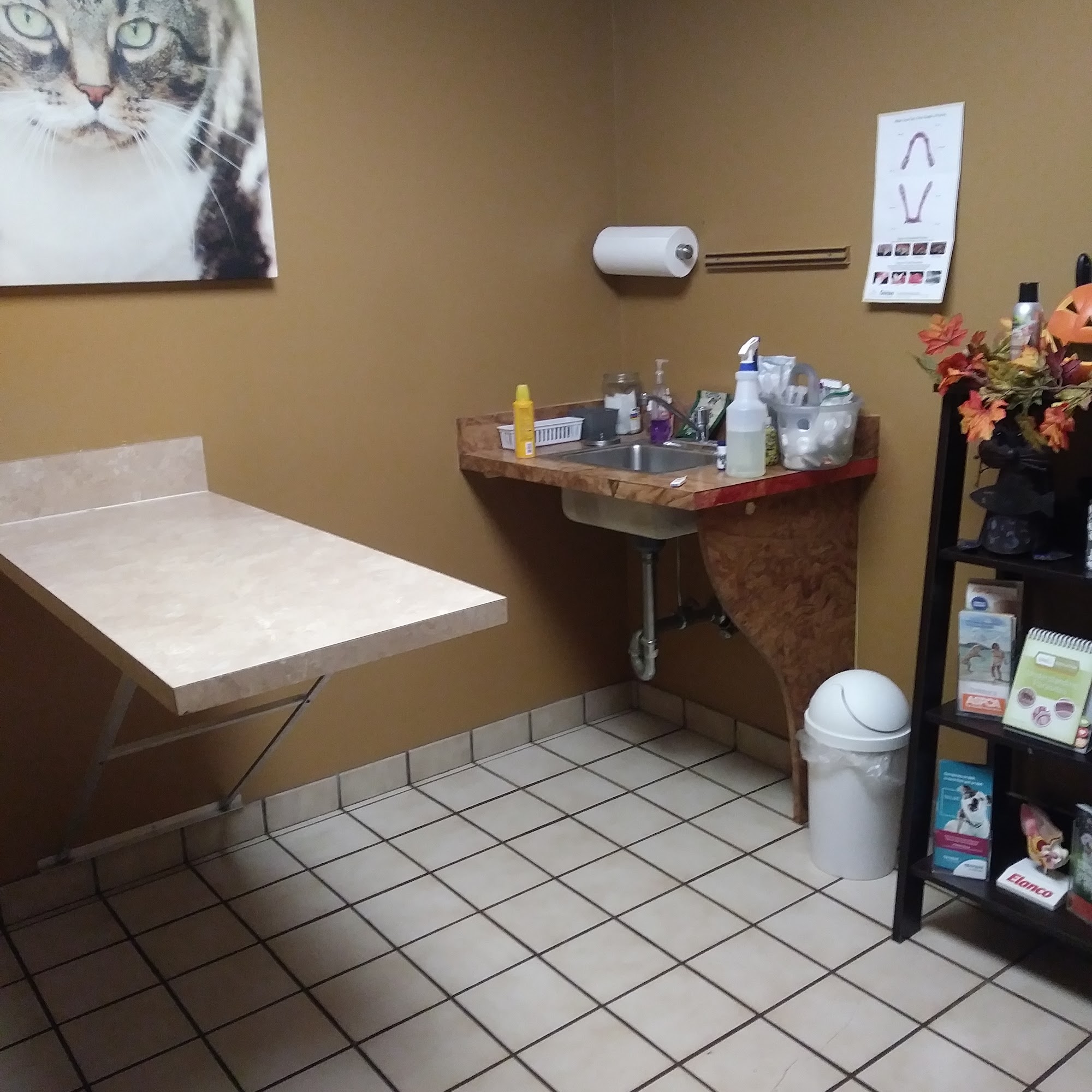 Brunswick Animal Hospital Brunswick