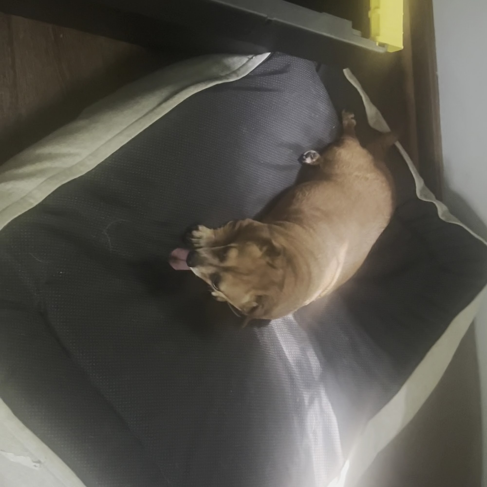 MedVet Diley Hill Canal Winchester