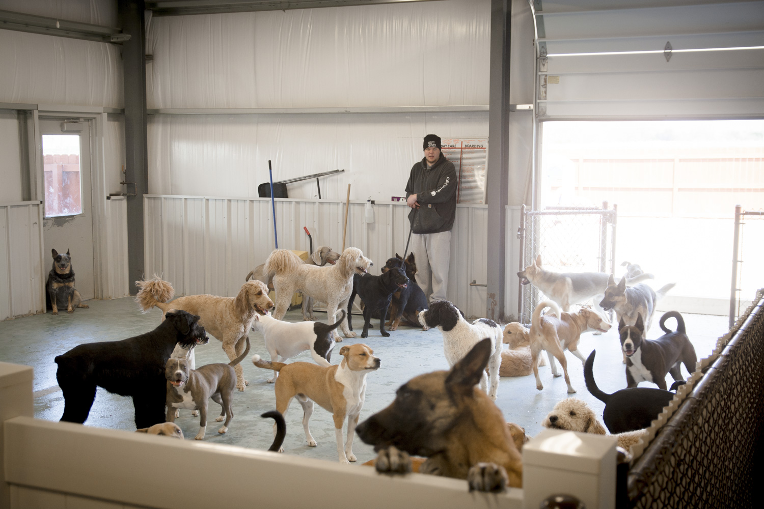 Lucky Bones Pet Resort Canal Winchester