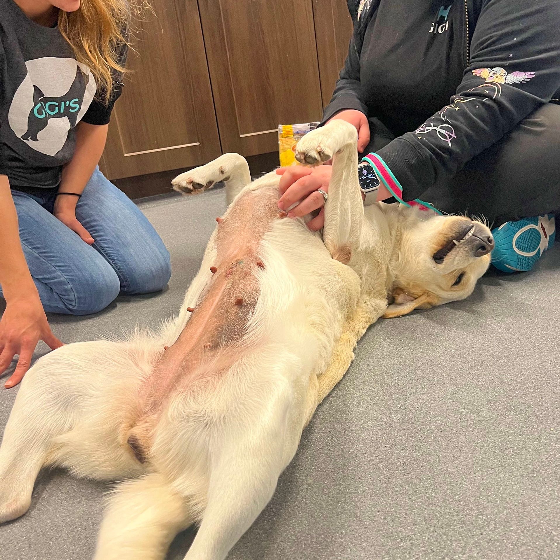 Gigi's Canal Winchester