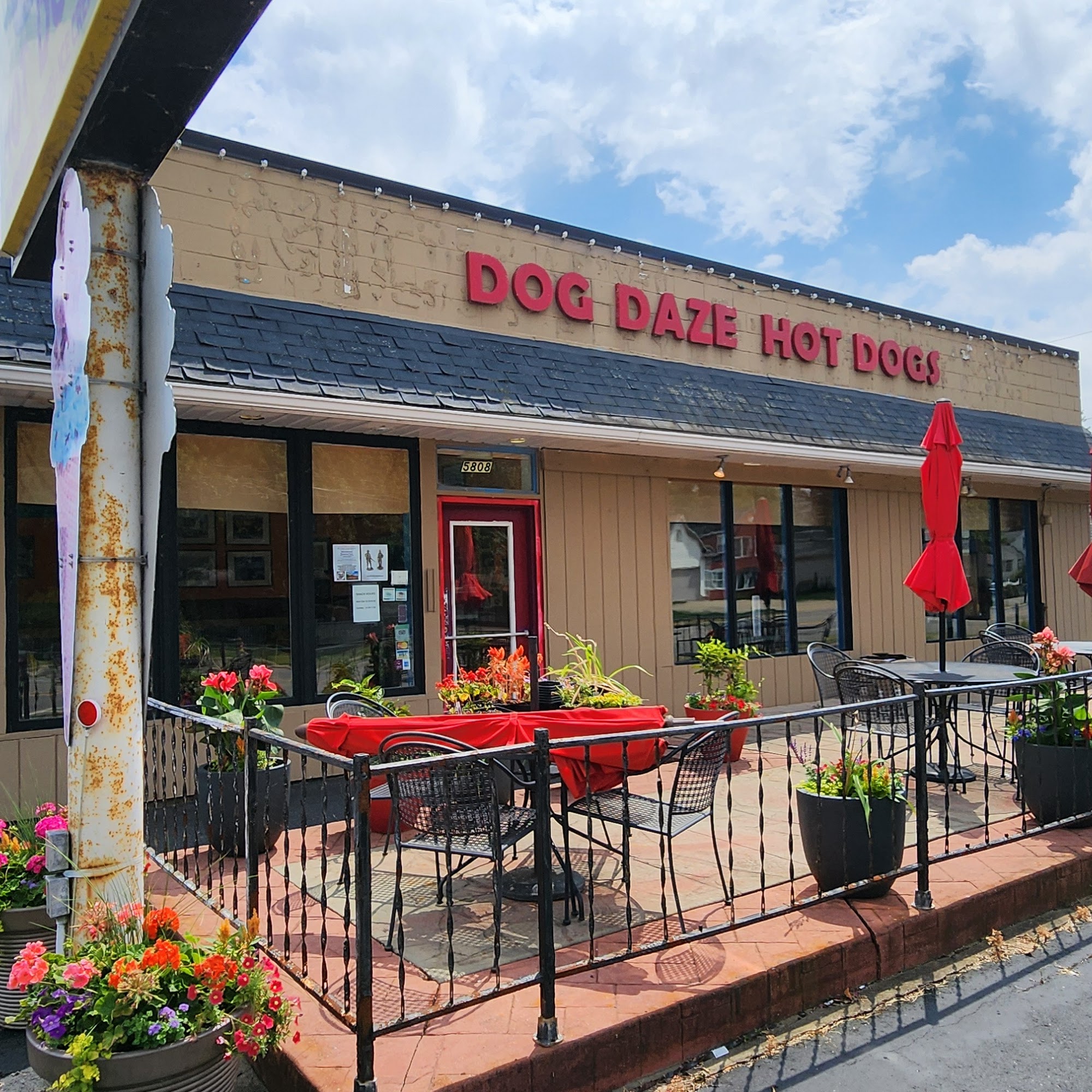 Dog Daze Gourmet Hot Dogs Canton