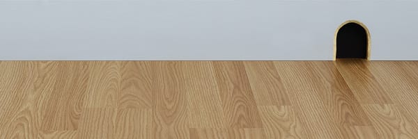 AAA Termite & Pest Control Service