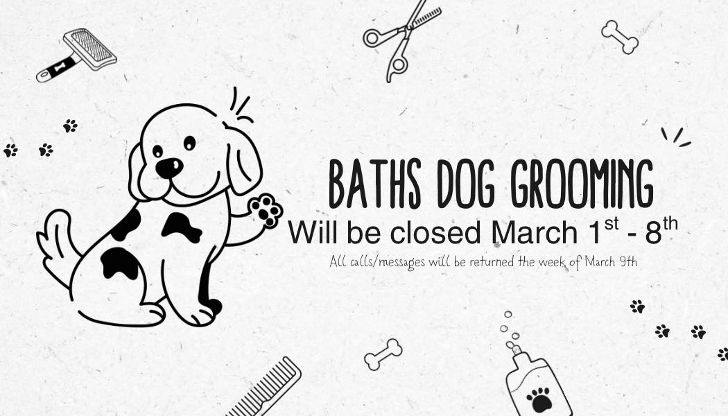 Bath's Professional Dog Grooming