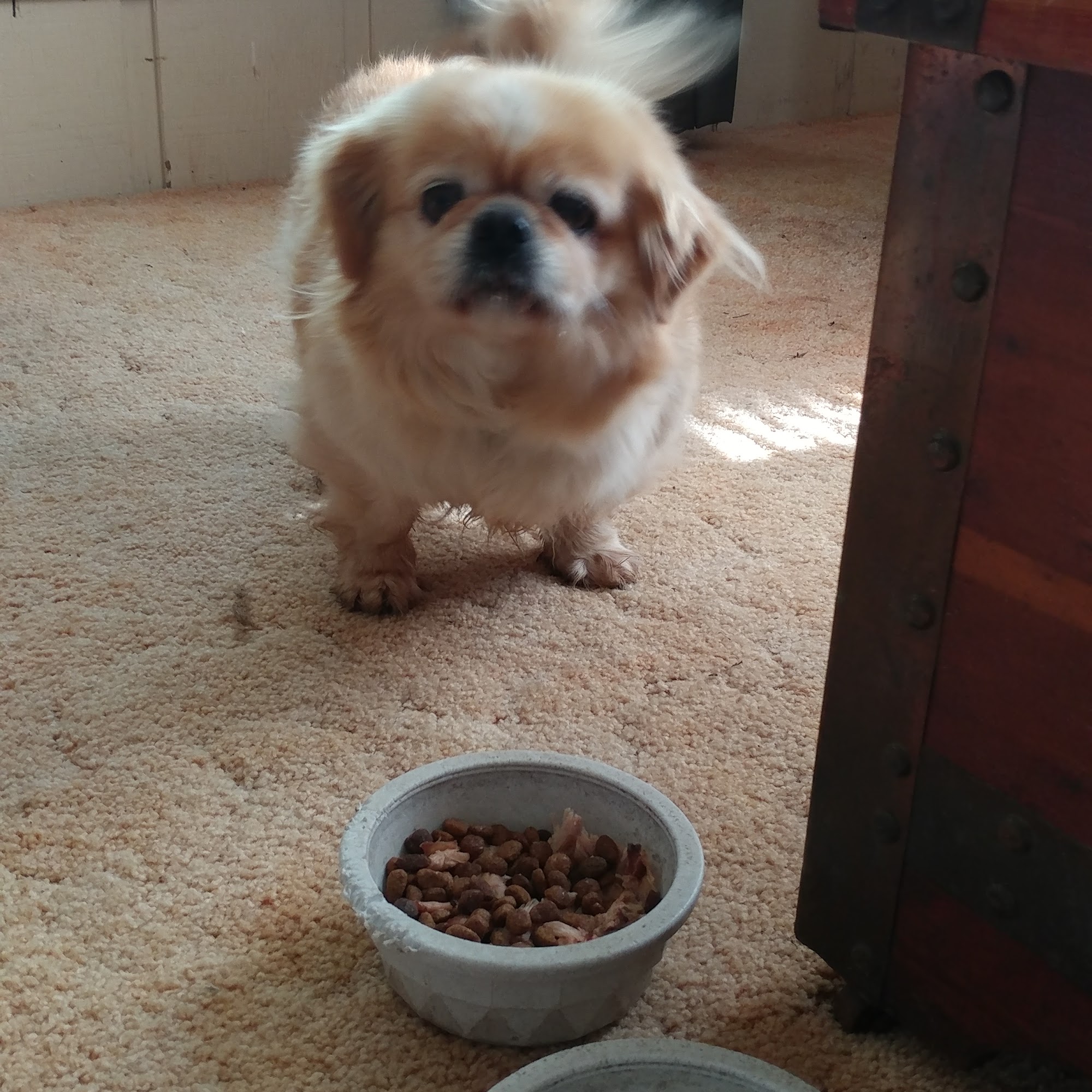 Four Seasons Veterinary Clinic Centerville