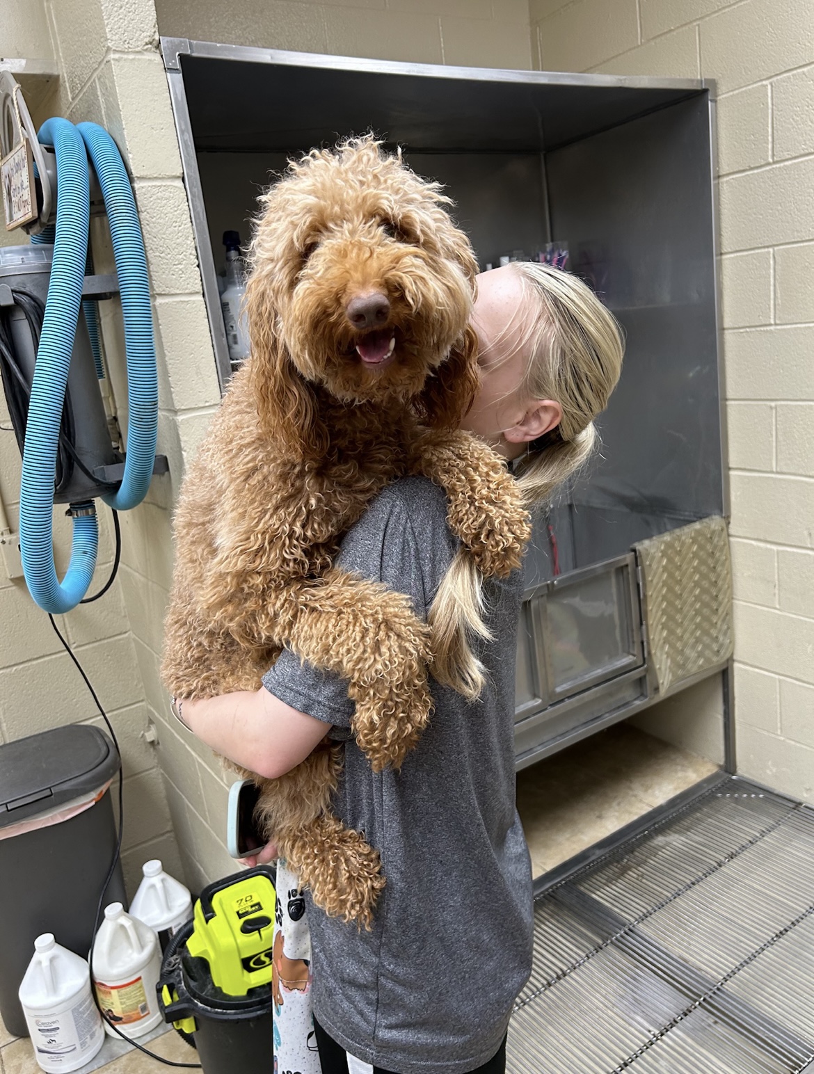 Alex-Bell Veterinary Clinic and Exclusively Posh Pets Centerville