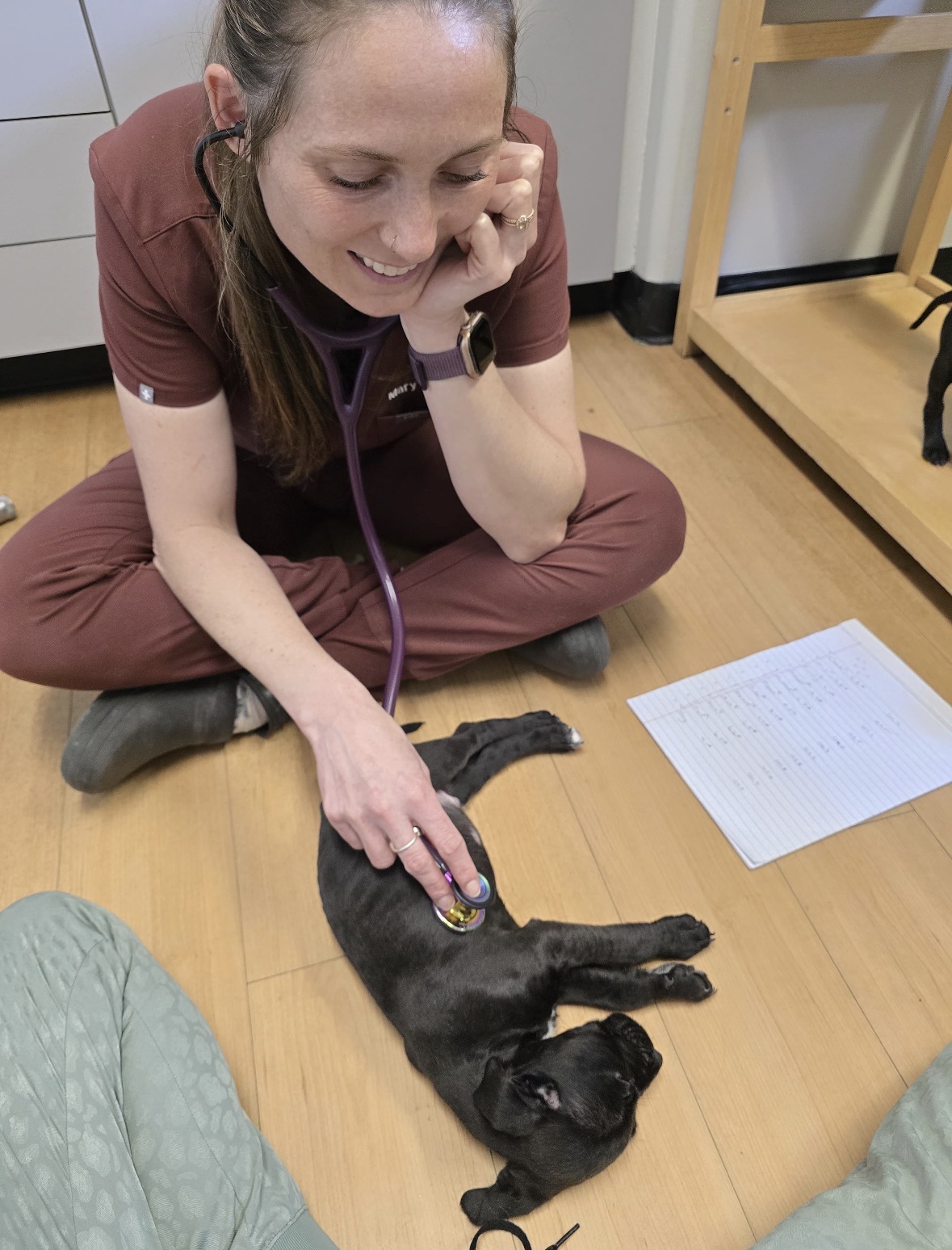 Covenant Animal Clinic - Centerville Centerville