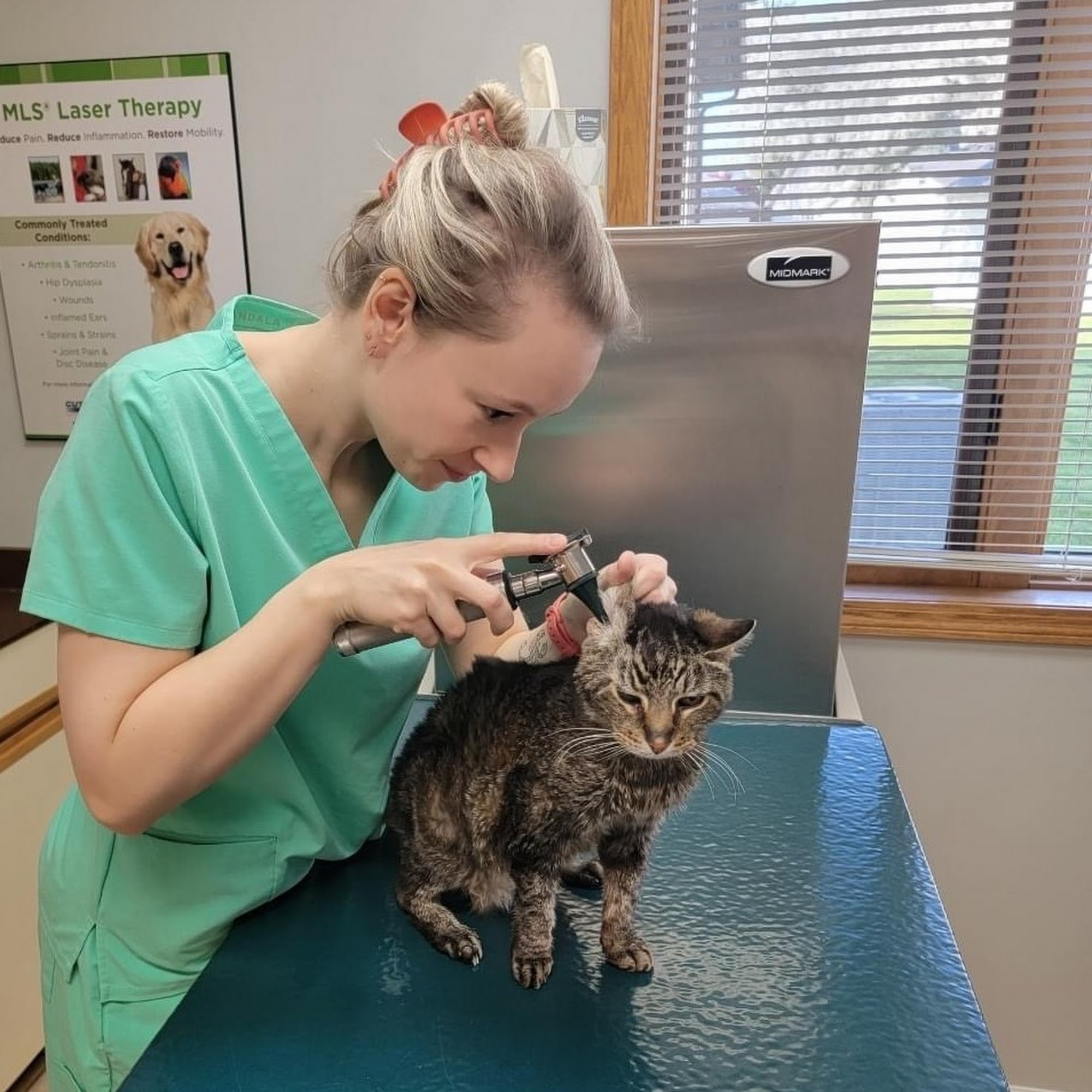 Chagrin Animal Clinic Inc Chagrin Falls