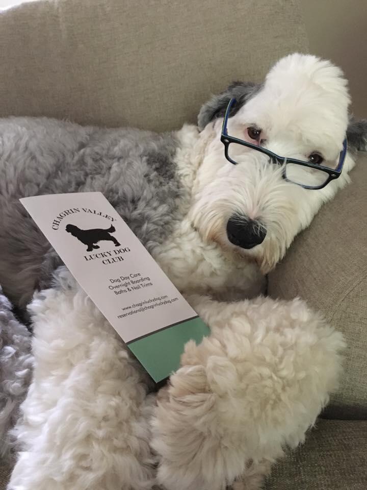 Chagrin Valley Lucky Dog Club Chagrin Falls