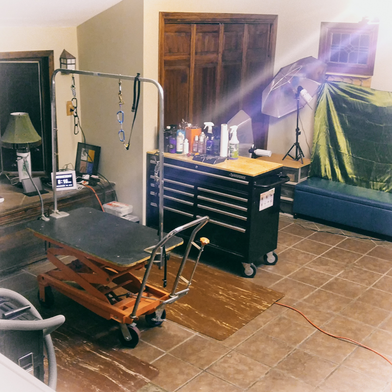 Pet Groom Studio Chagrin Falls