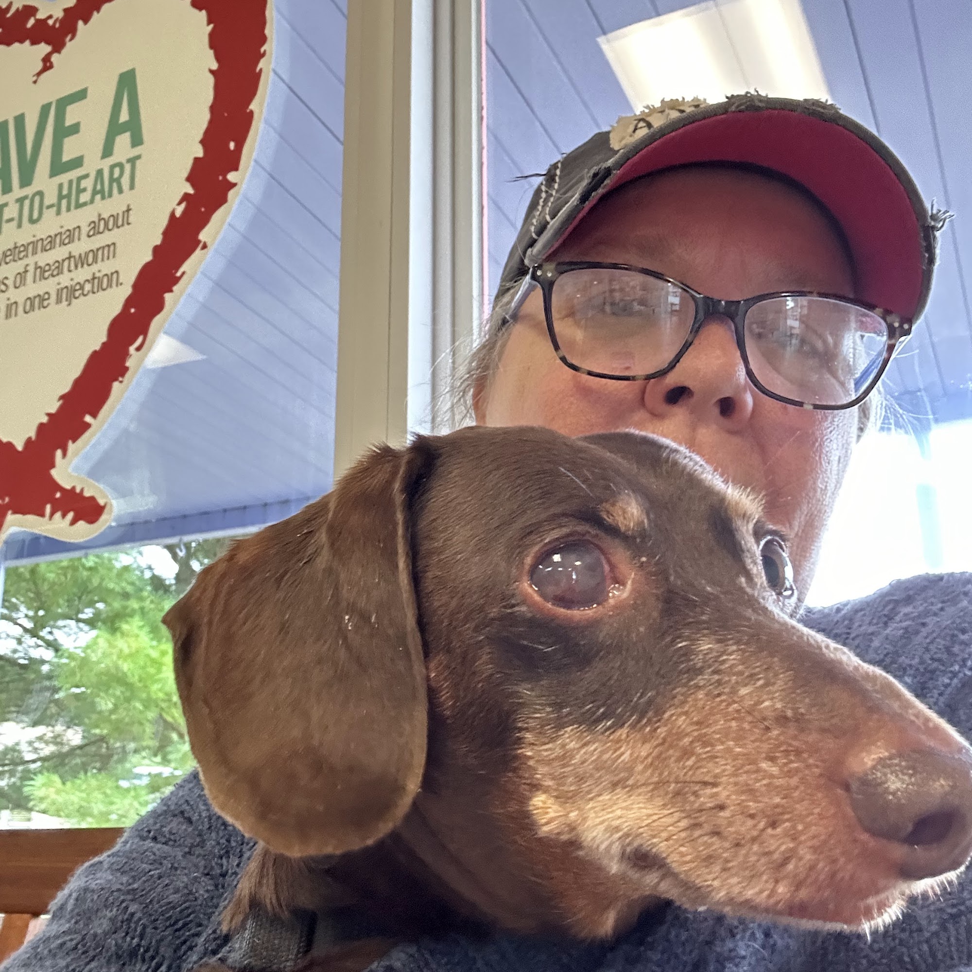 Animal Care Clinic, Dr Lisa Pelfrey Chillicothe