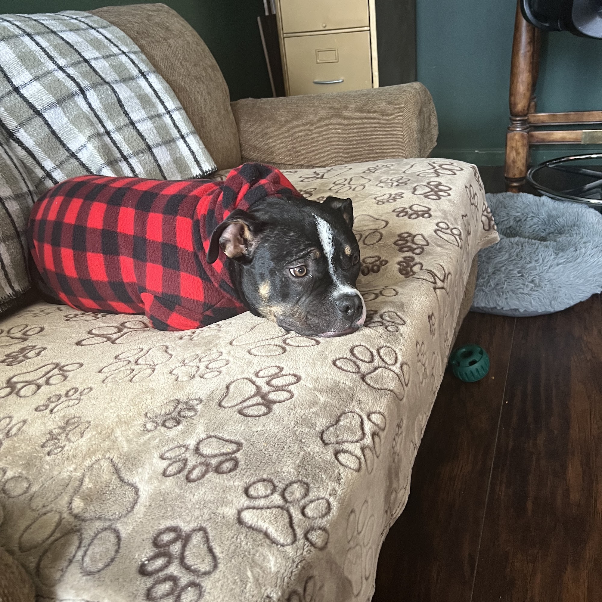 Newton Boarding & Grooming Chillicothe