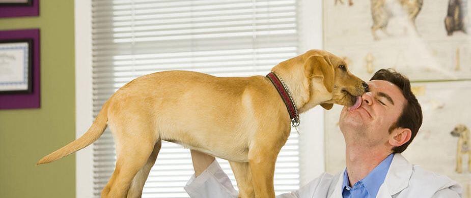 Animal Care Center of Forest Park Cincinnati