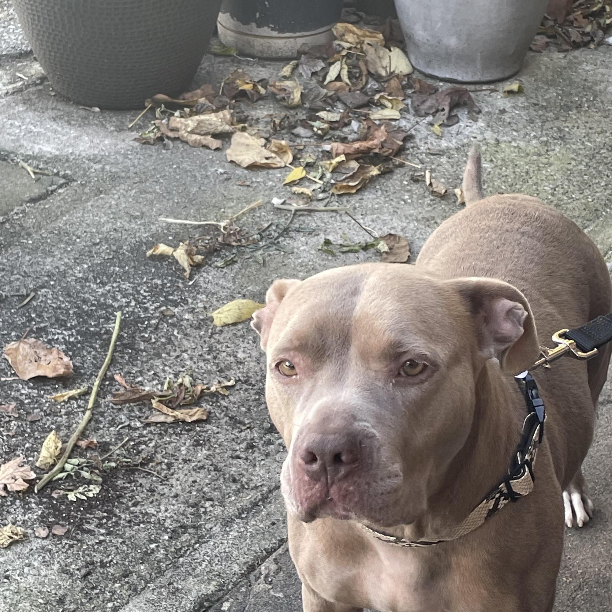 Mariemont Veterinary Clinic Cincinnati