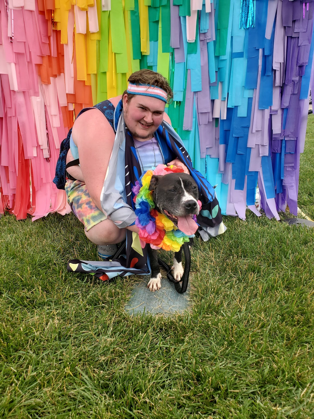 Cincinnati Animal CARE / Hamilton County Animal Shelter Cincinnati