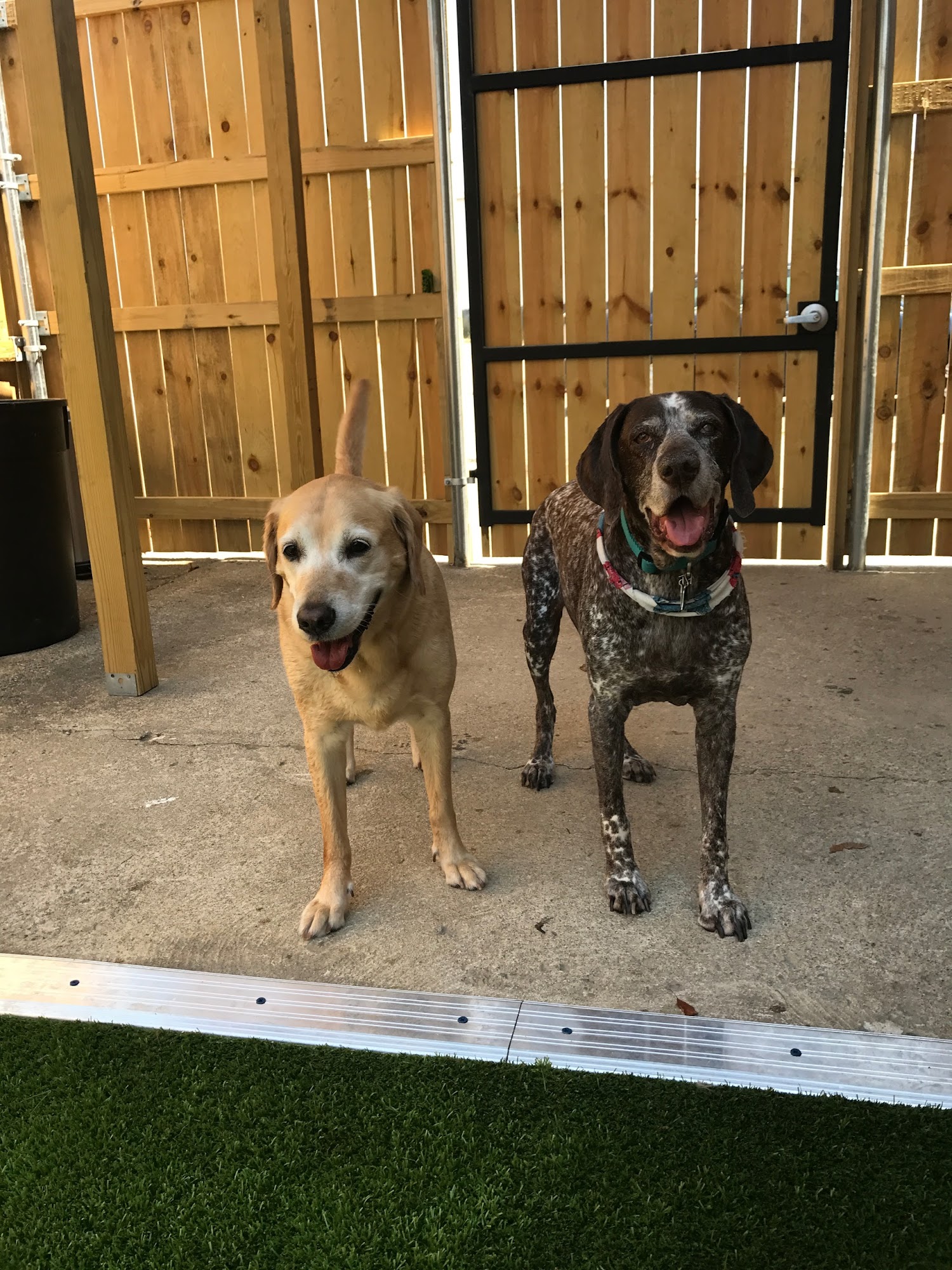 Dogtown Anderson Cincinnati