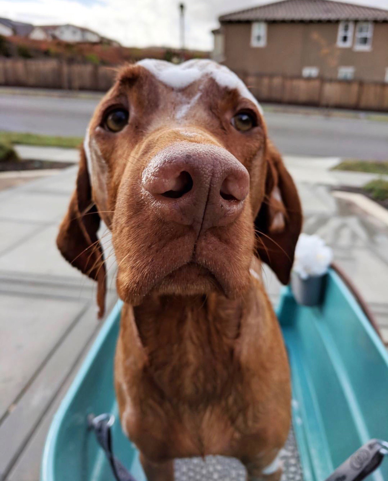 Booster Bath Cincinnati