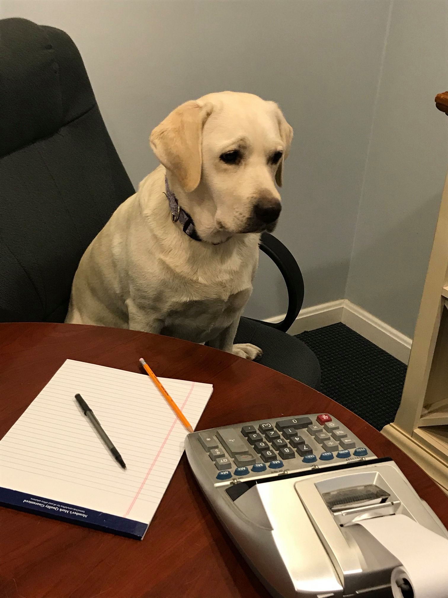 Berberich & Berberich