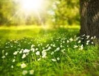 Cincinnati Psychiatric Services, Inc