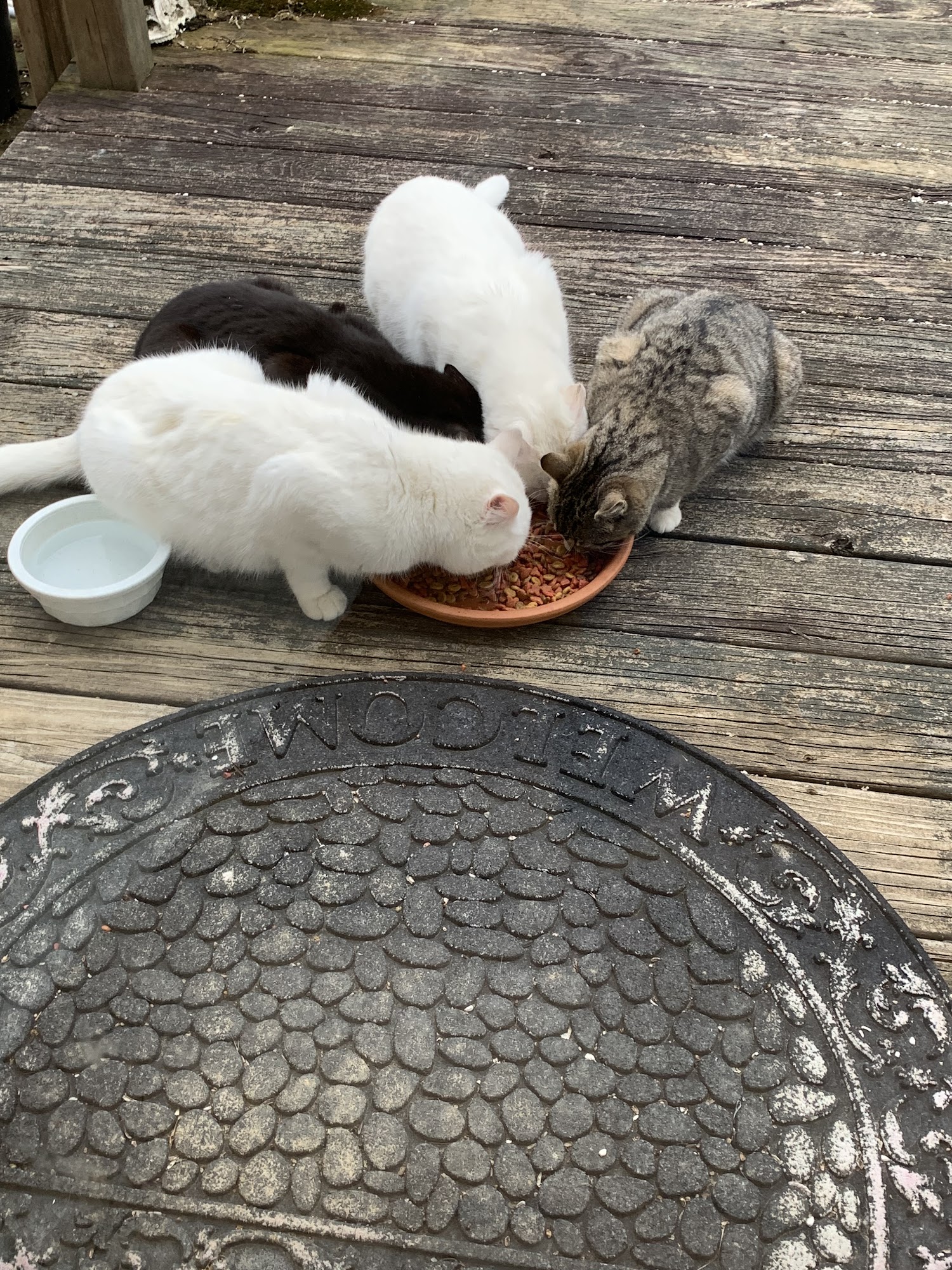 Heartt Animal Refuge Cincinnati