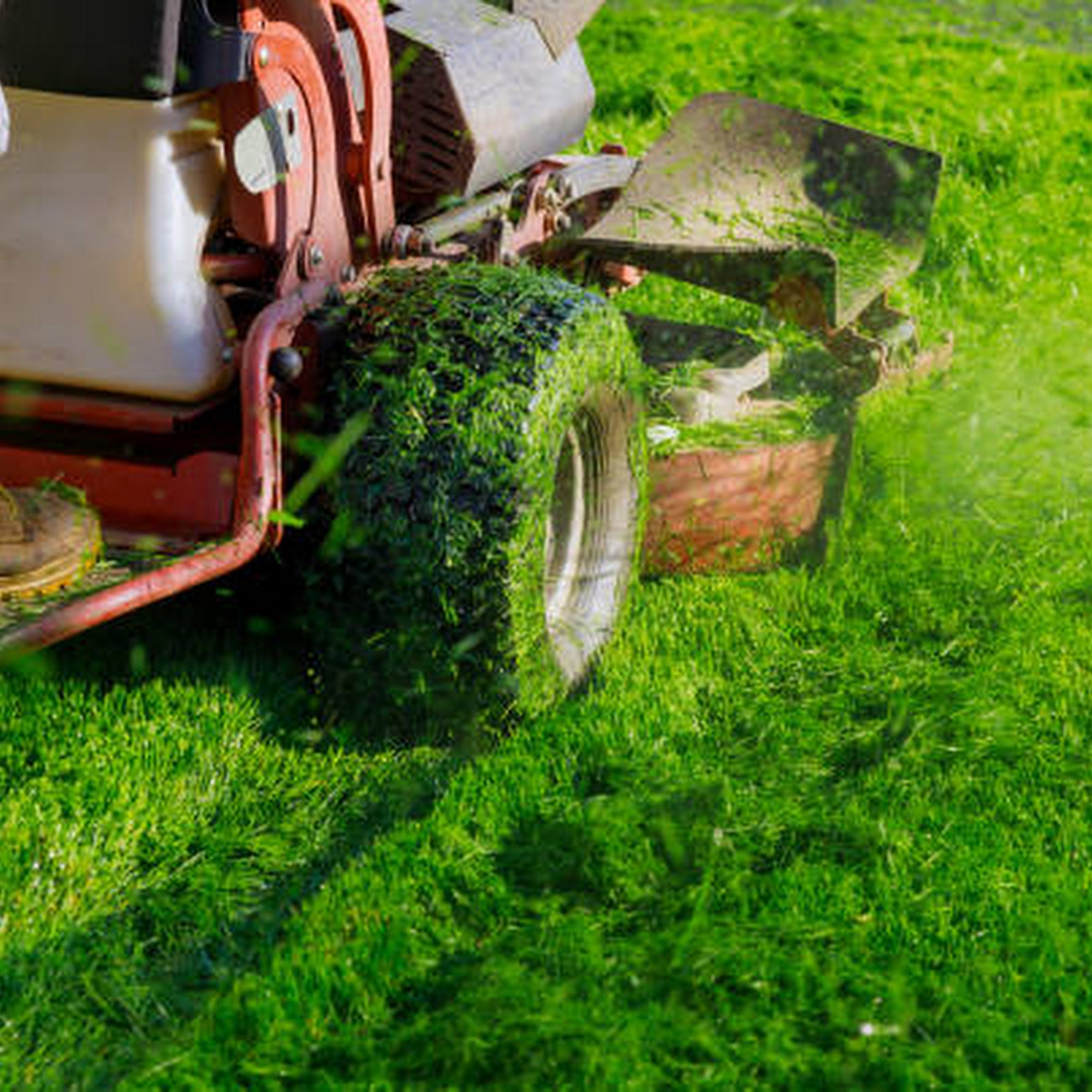 Greater Cincinnati Lawn Maintenance