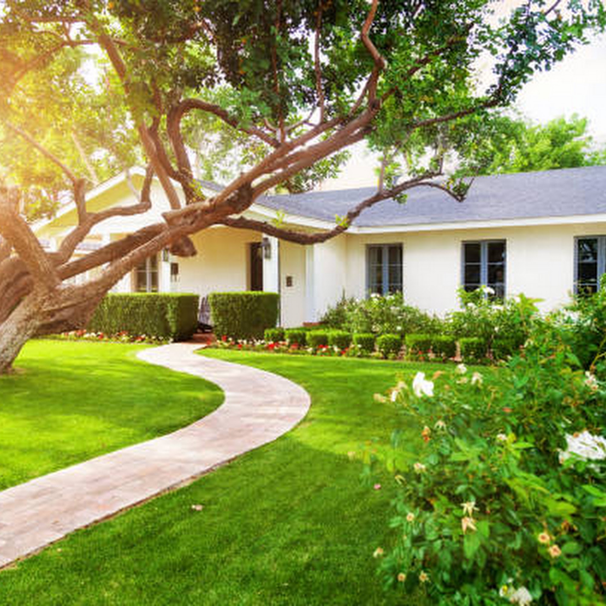 Greater Cincinnati Lawn Maintenance