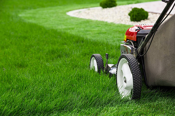 Greater Cincinnati Lawn Maintenance