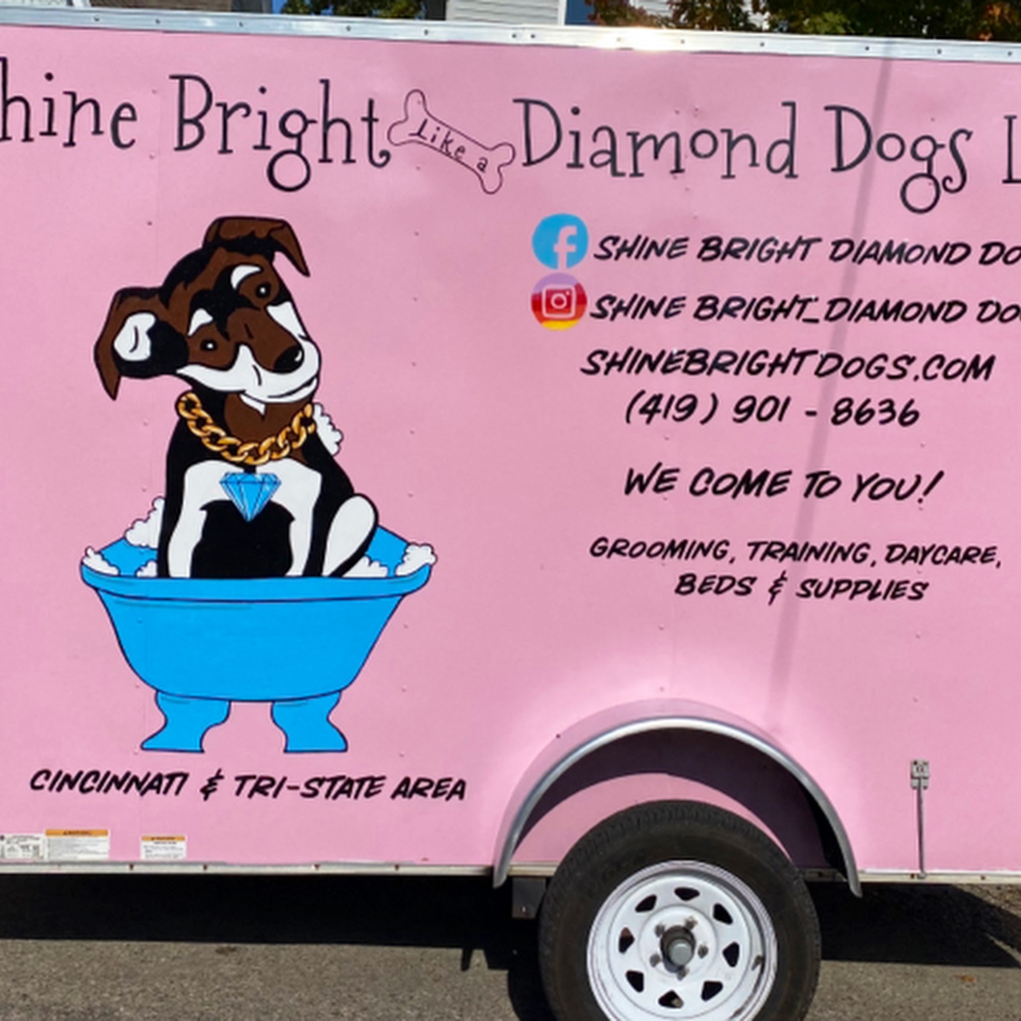 Shine Bright like a Diamond Dogs LLC 6200 Colerain Ave, Cincinnati Ohio 45239