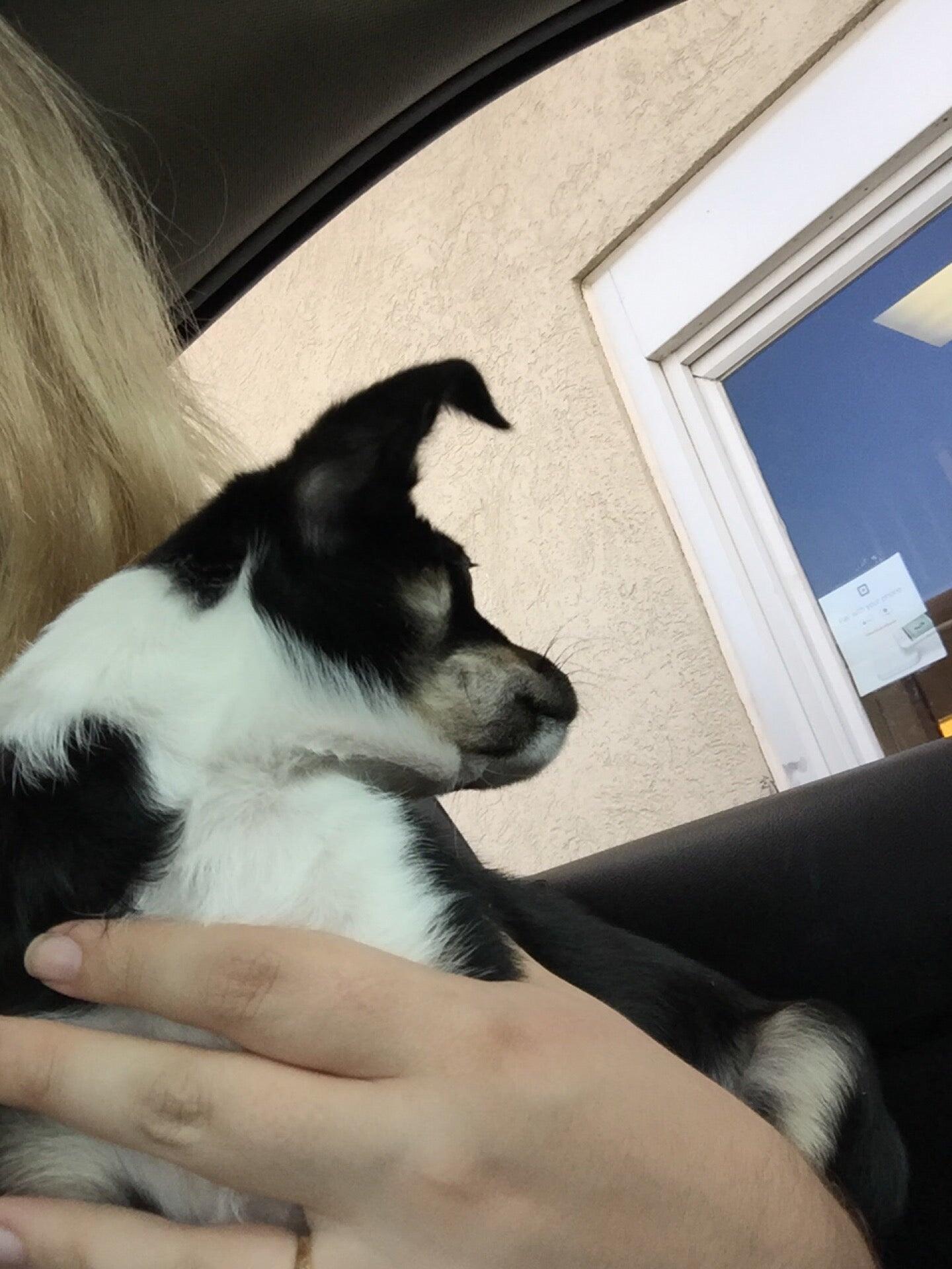 Photo credit: nextdoor