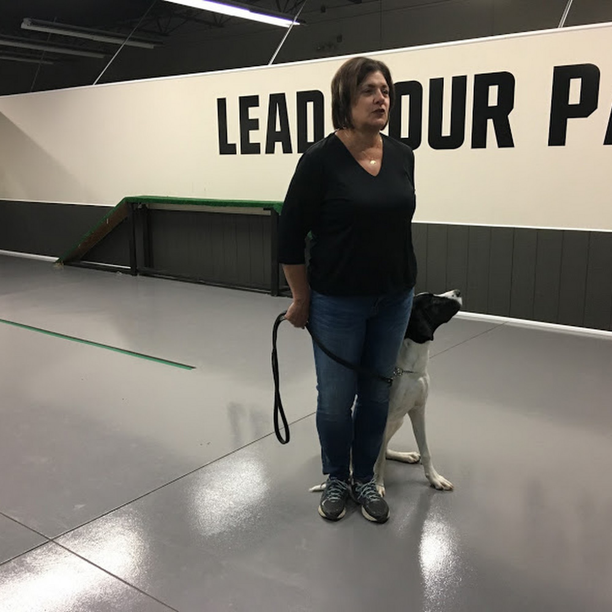 AlphA and Omega Dog Training - Cleveland Cleveland Heights
