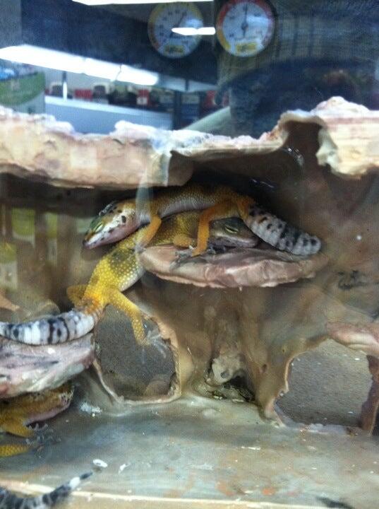 Petco Cleveland