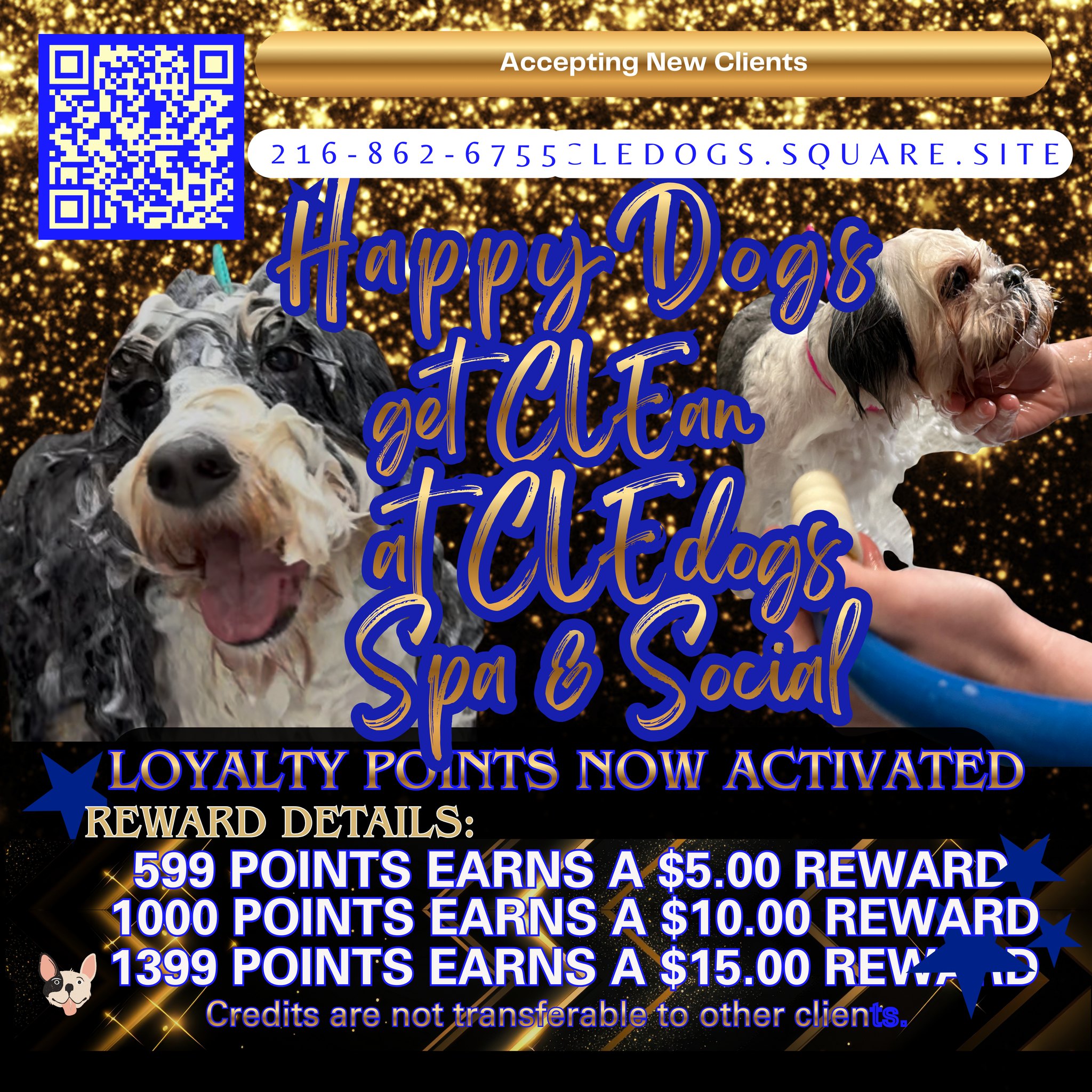CLEdogs Spa & Social Cleveland