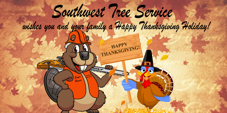 Southwest Tree Company