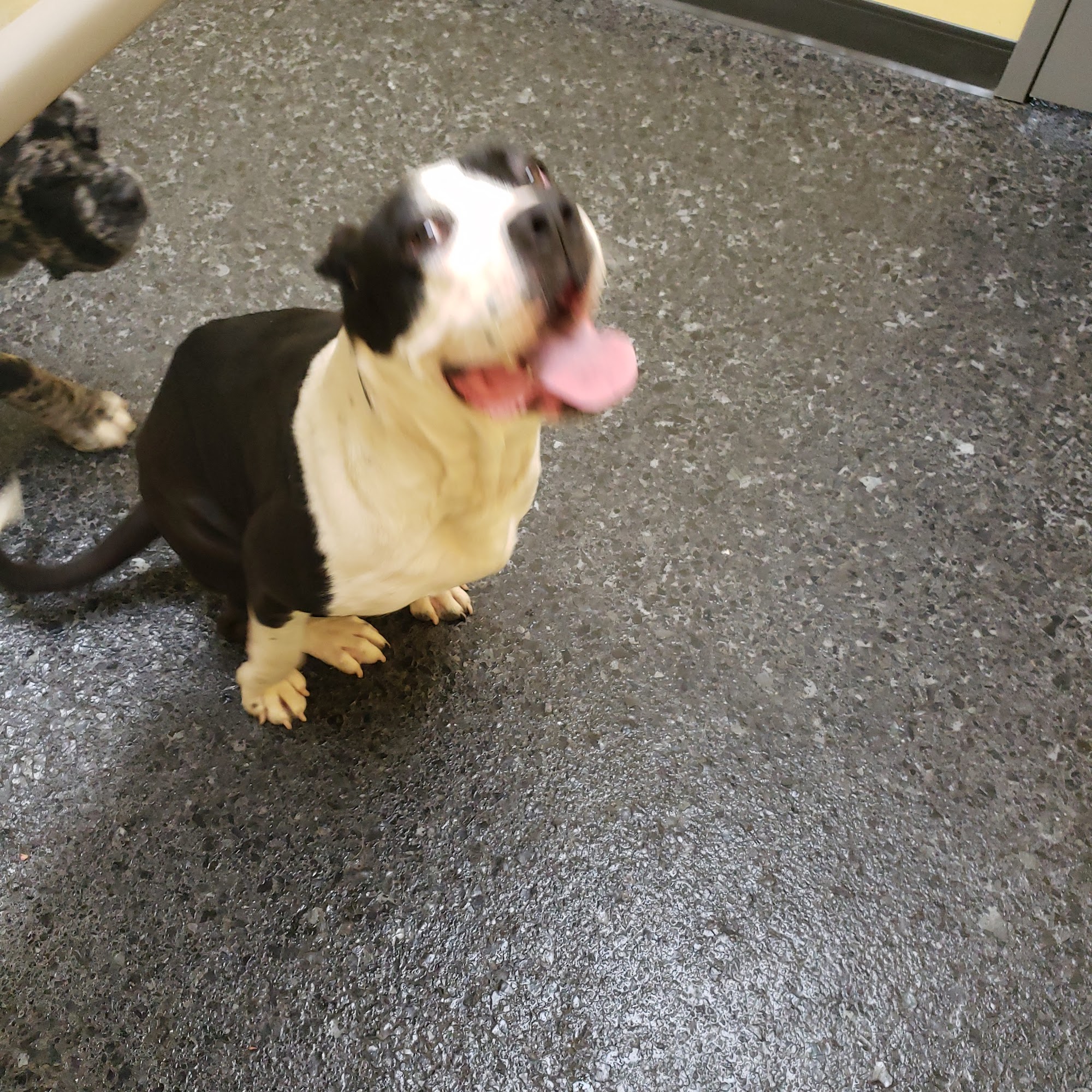 Cleveland Veterinary Clinic Cleveland